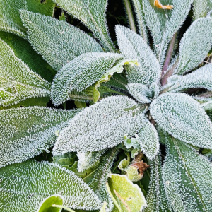 冬のエアコン霜取り運転対策：停止を防ぎ暖房効率を上げる方法