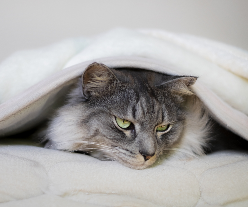 冬のエアコン暖房を素早く！暖房効率を最大化する方法