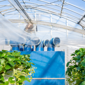 農業用ハウス向けエアコン導入で収量・品質を向上させる方法