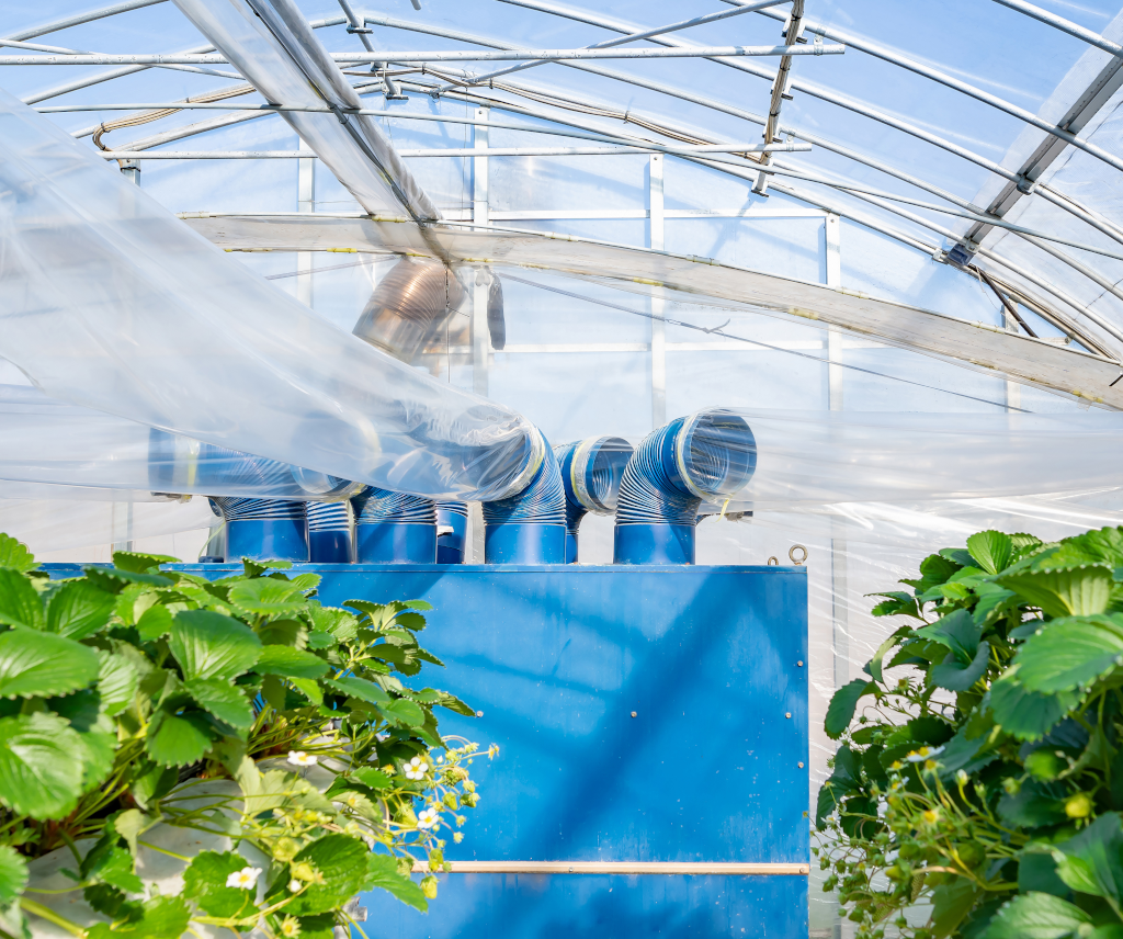農業用ハウス向けエアコン導入で収量・品質を向上させる方法