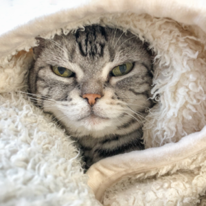 冬のエアコンクリーニングは本当に寒い？暖房効率を上げる掃除方法と注意点