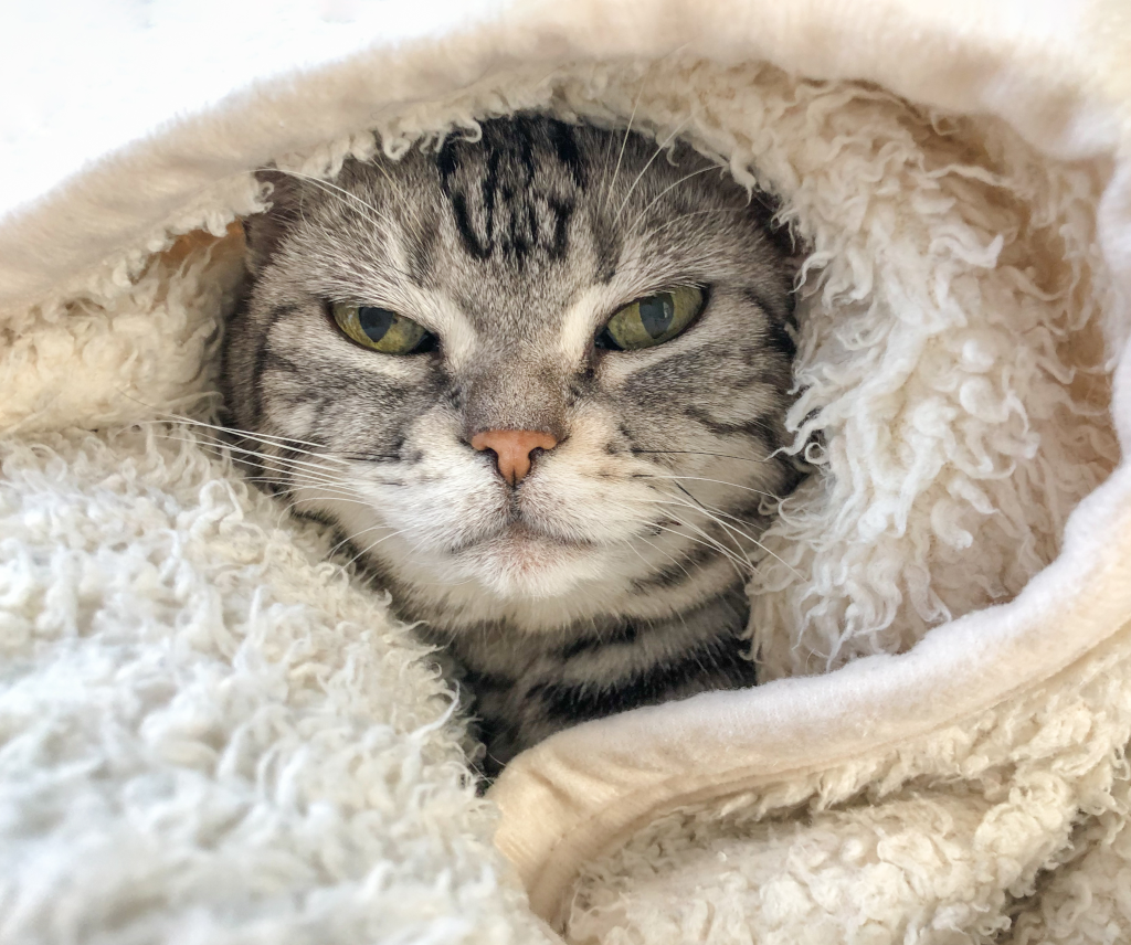 冬のエアコンクリーニングは本当に寒い？暖房効率を上げる掃除方法と注意点