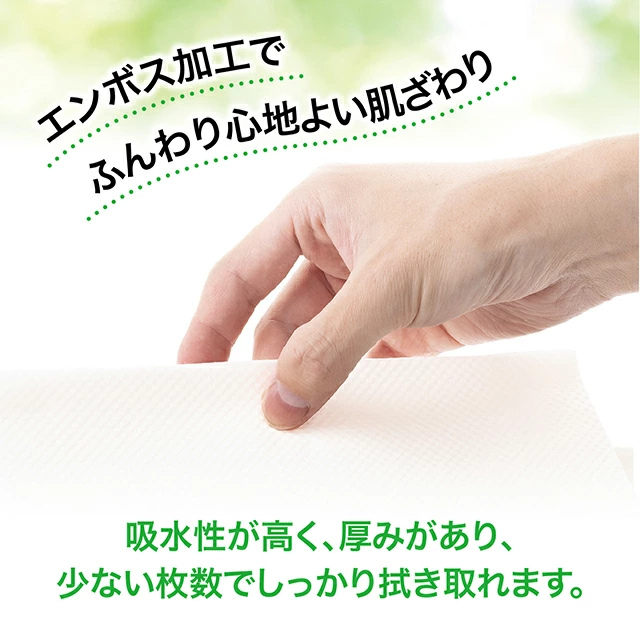 竹パルプ ペーパータオル 商品画像8